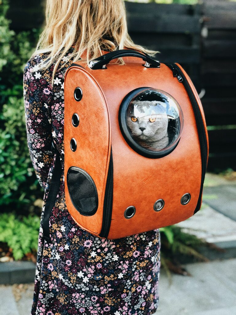 A cat parent needs a cat carrier