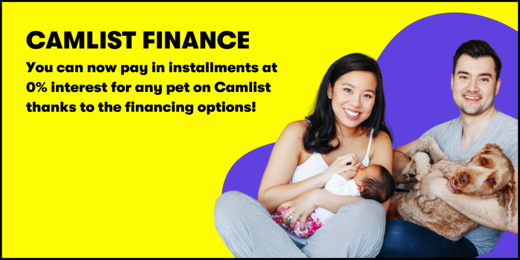 Camlist Finance