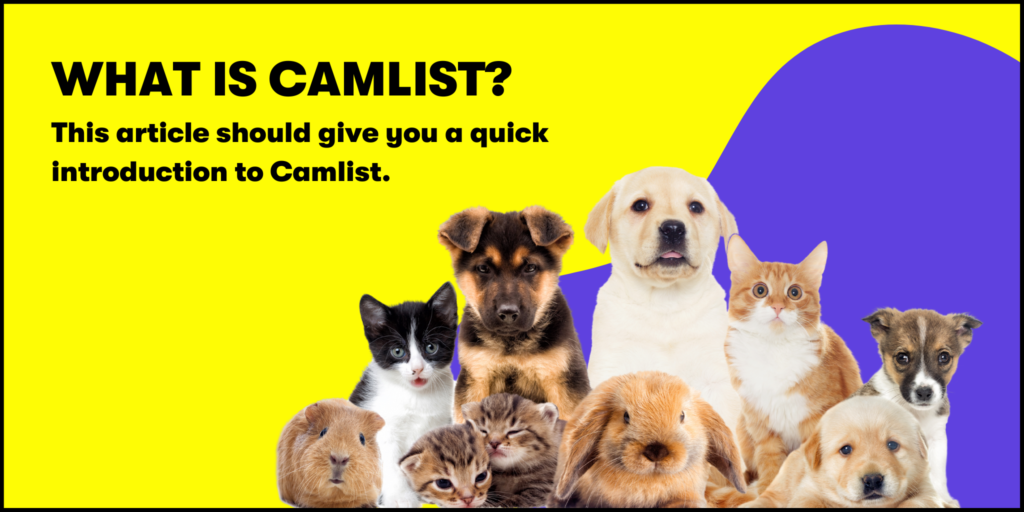 What is Camlist